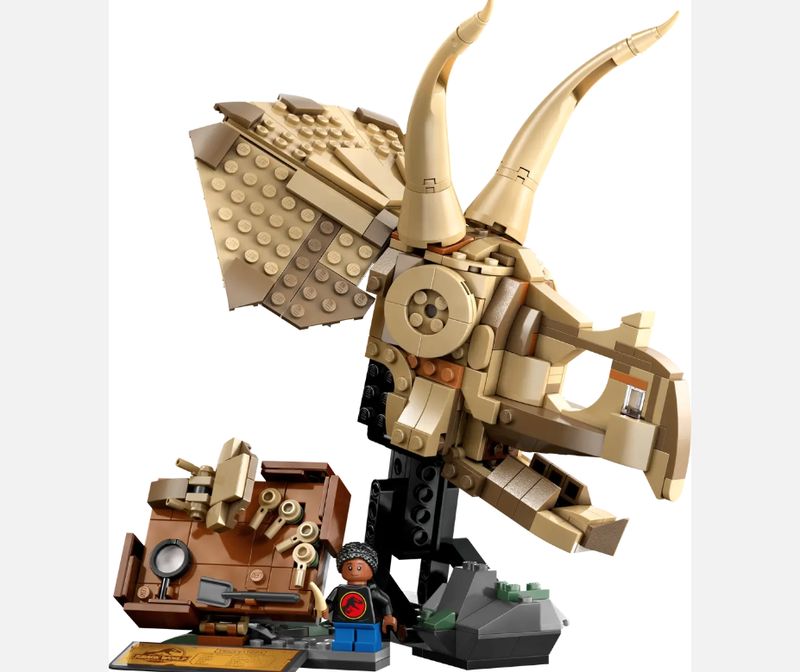 76969 Dinosaur Fossils: Triceratops Skull CS PK 4