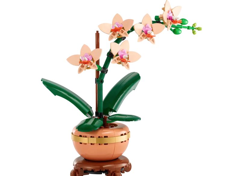 10343 Mini Orchid CS PK 3