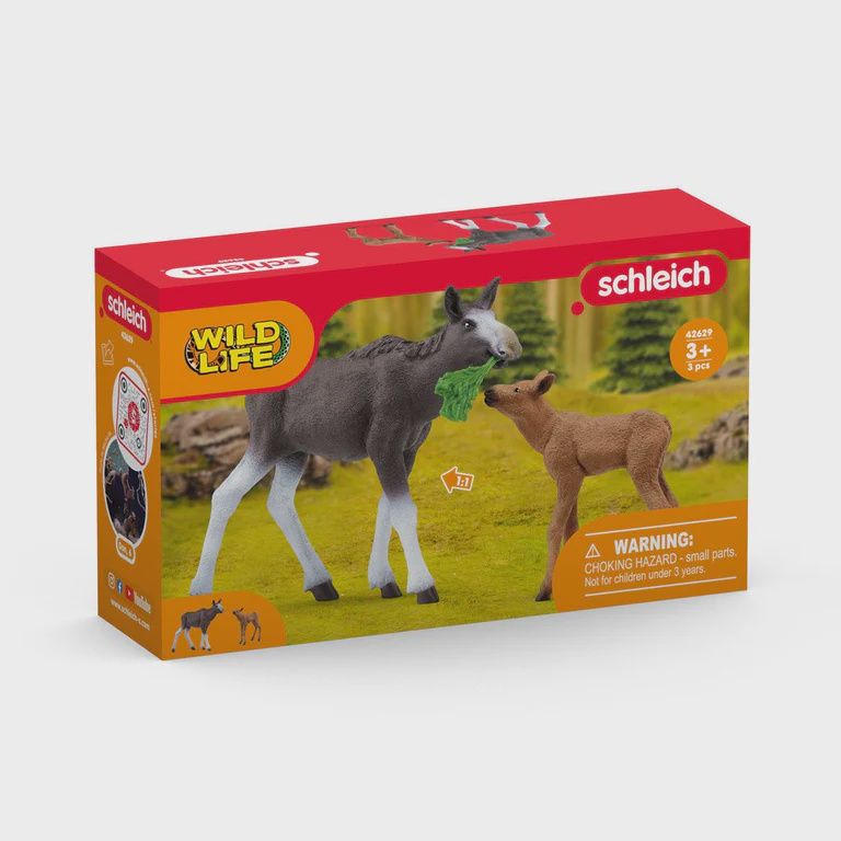 42629 Moose Family