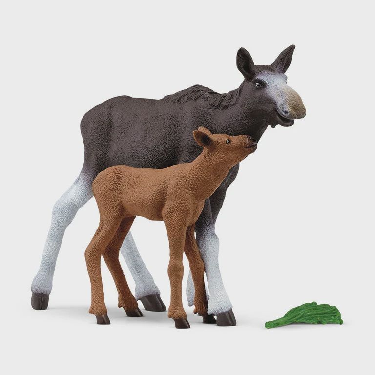 42629 Moose Family