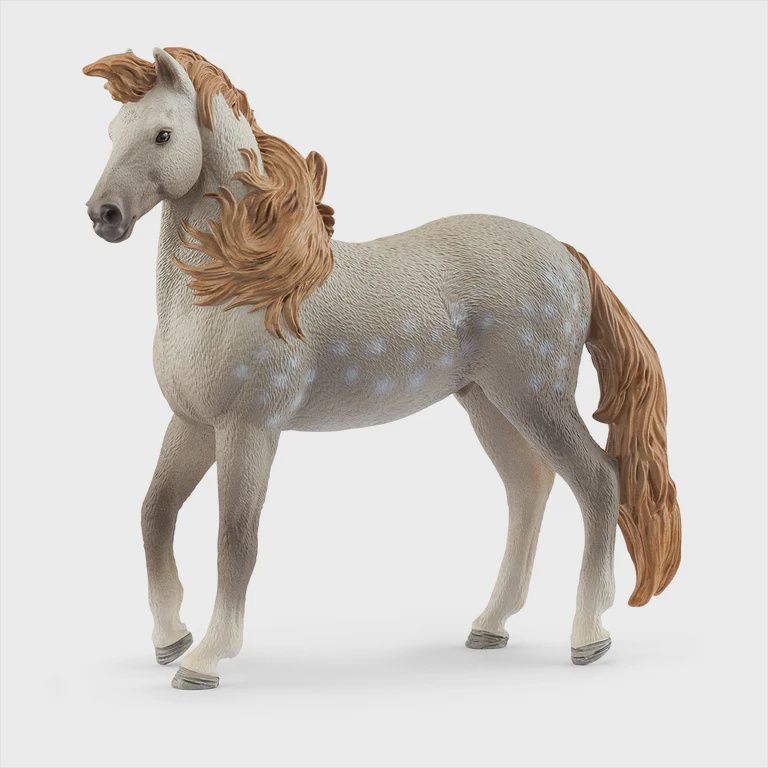 14895 Andalusier Stallion