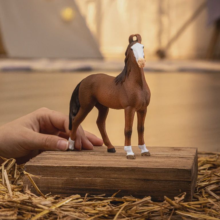 14897 Marwari Mare