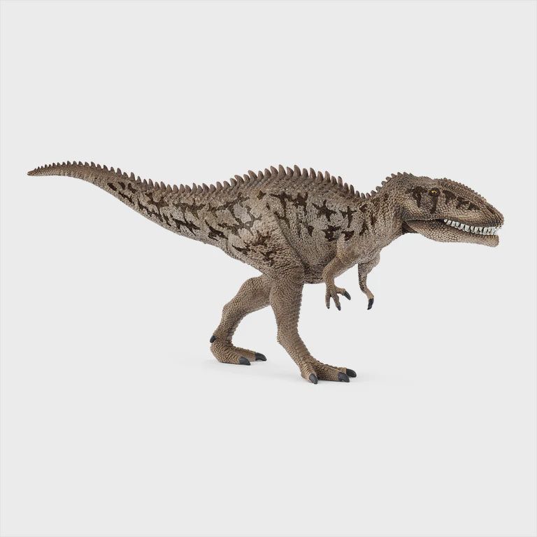 15048 Carcharodontos aurus