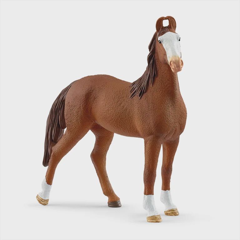 14897 Marwari Mare