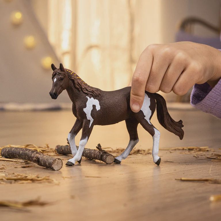 14901 Paint Horse Mare