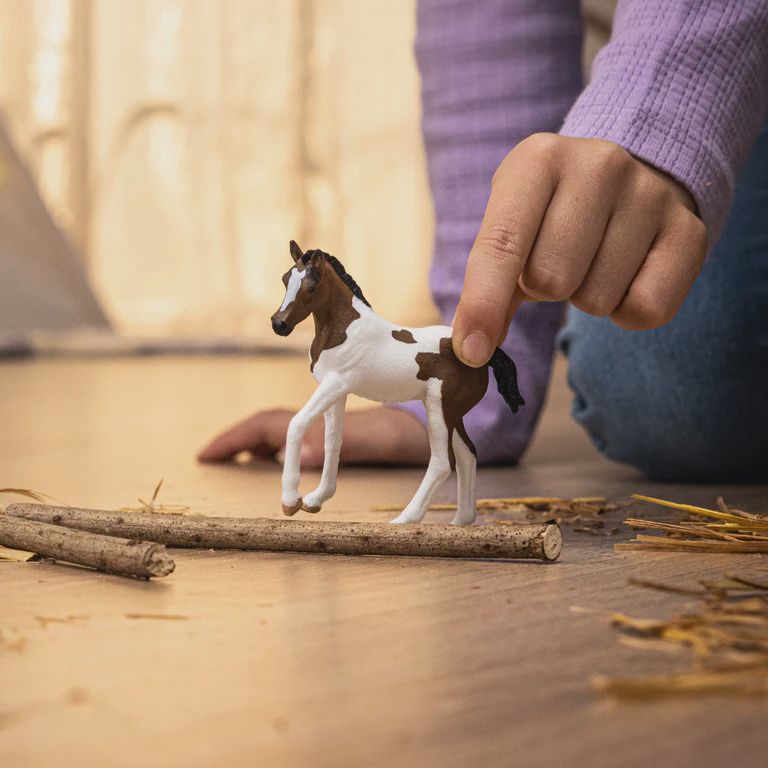 14899 Paint Horse Foal