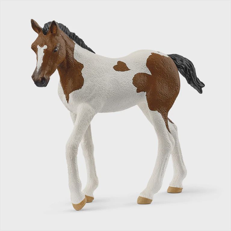 14899 Paint Horse Foal