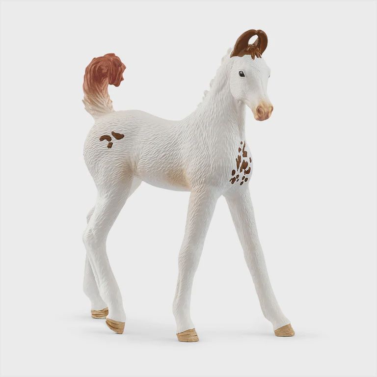 14896 Marwari Foal