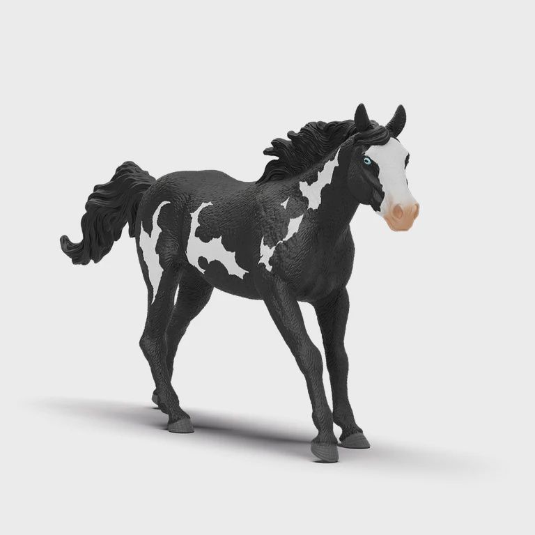 14900 Paint Horse Gelding