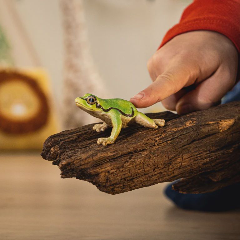14882 European Tree Frog
