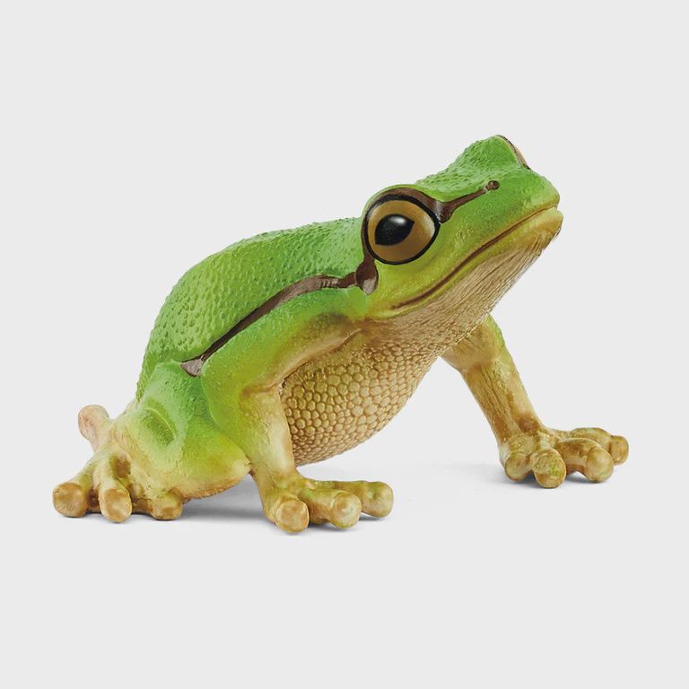 14882 European Tree Frog