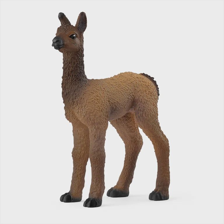 14890 Llama Foal