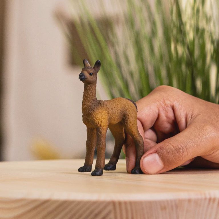 14890 Llama Foal
