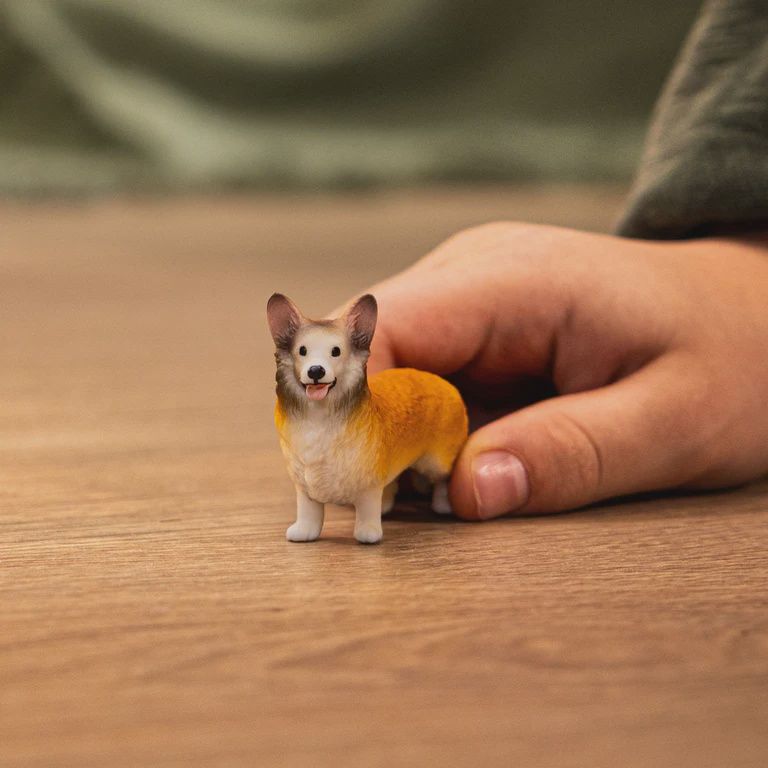 13999 Welsh Corgi