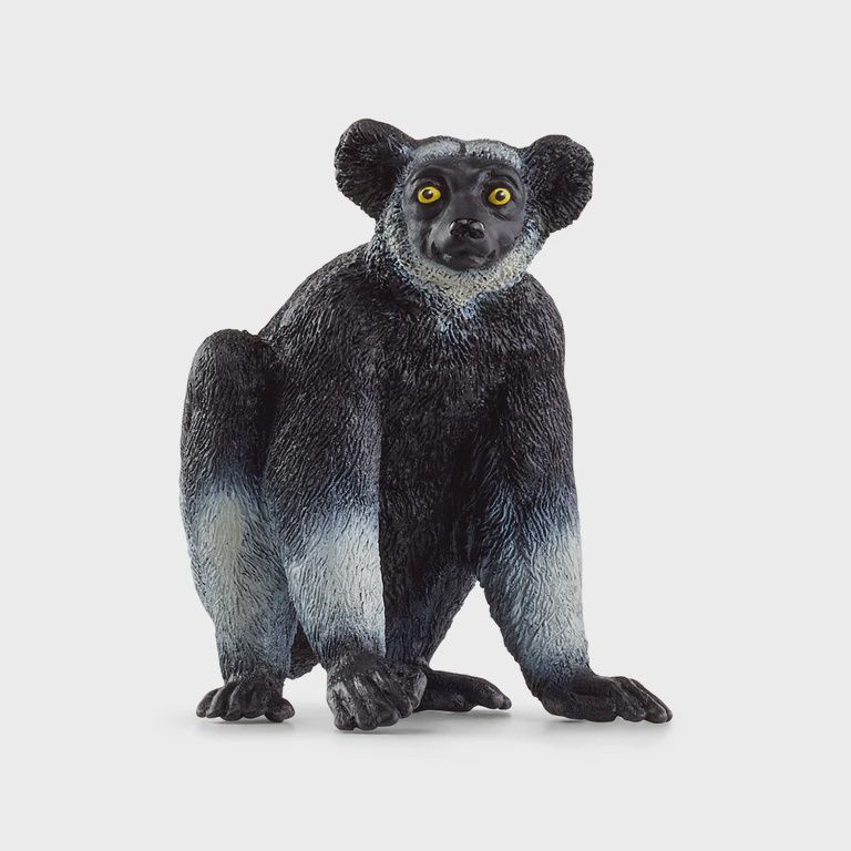 14877 Indri