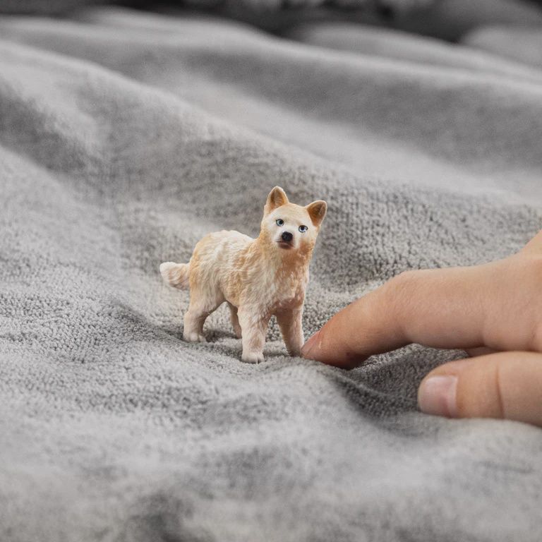 14881 Arctic Wolf cub