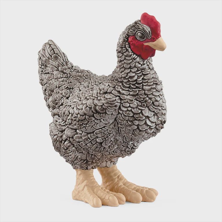 13997 Plymouth Rock Chicken
