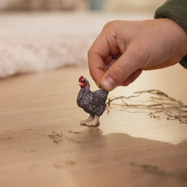 13997 Plymouth Rock Chicken