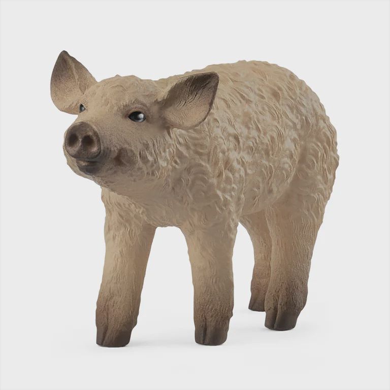 14893 Mangalica Piglet