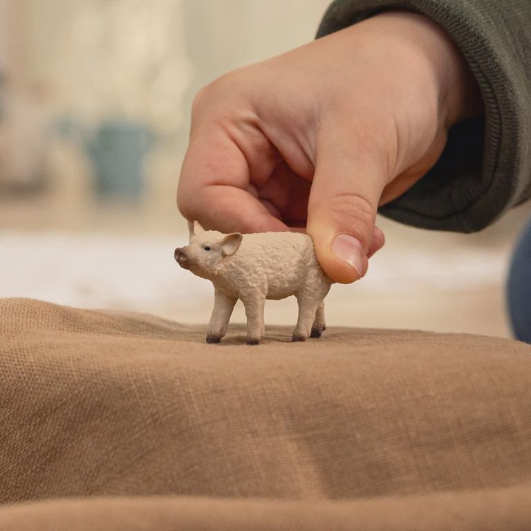 14893 Mangalica Piglet
