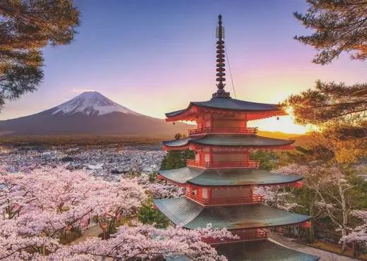 12000582 Mount Fuji Cherry Blossom View 1000 Pc Puzzle