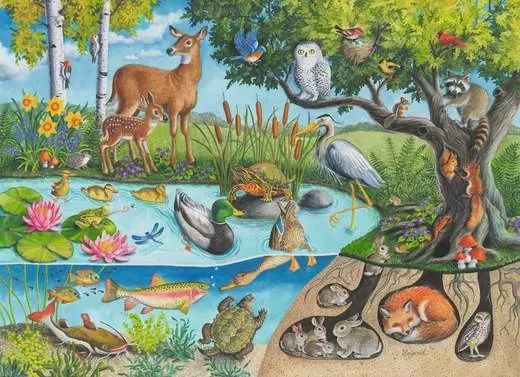 12004100 Animals Above and Below 60 Pc Puzzle