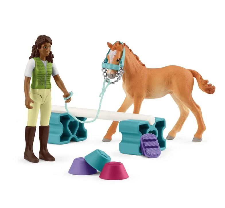 42756 Training set for foal &amp; Sarah