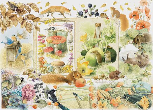 40312 Nature Journal: Autumn