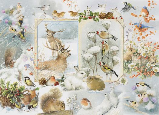 40313 Nature Journal: Winter