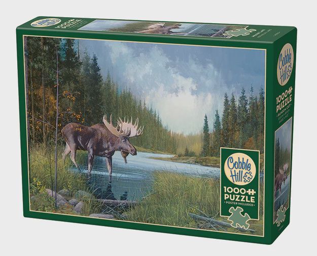 40196 Moose Lake