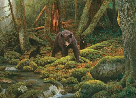 40278 Mother Nature 1000 Piece