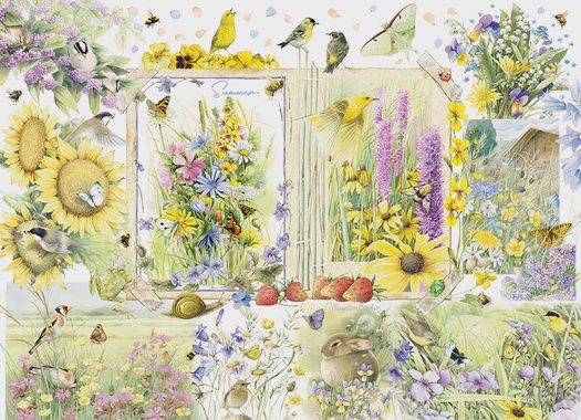 40311 Nature Journal: Summer
