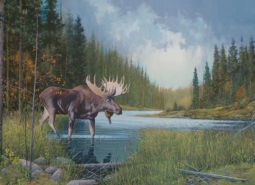 40196 Moose Lake