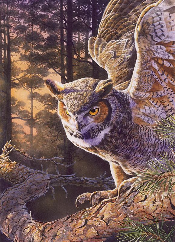 40234 Evening Hunter