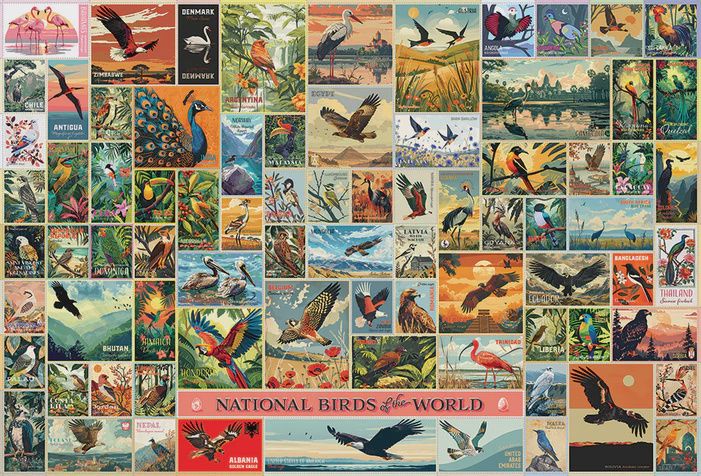 49024 National Birds of the World 2000pc