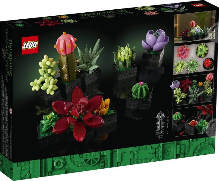10309 Succulents CS PK 4