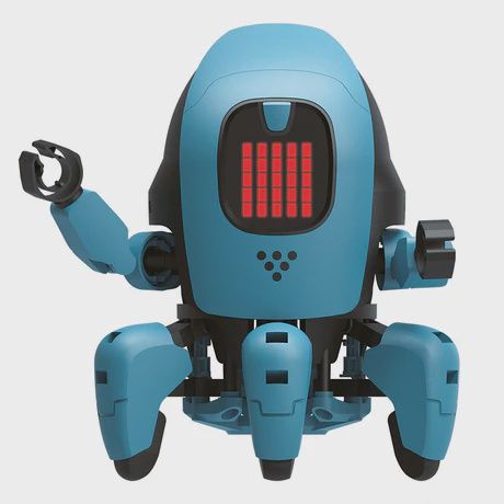 TK620392 KAI: The Artificial Intelligence Robot