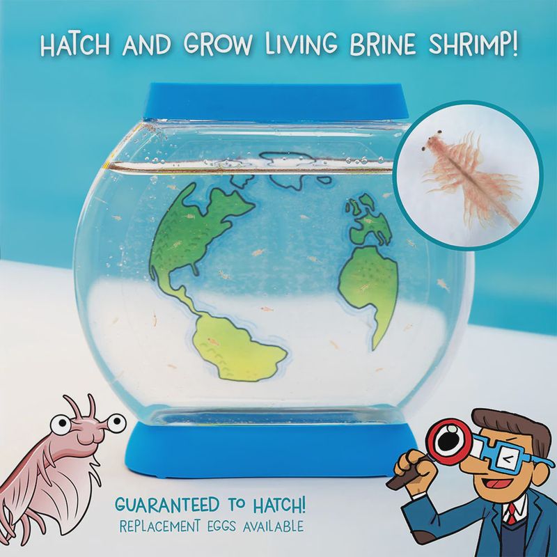 TK545007 Wow in the World: Sea Creatures Aquarium