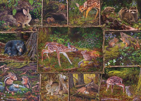 47049 Into the Woods (Family) Family Pieces 350