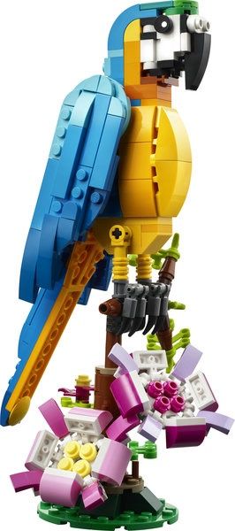 31136 Exotic Parrot CS PK 3