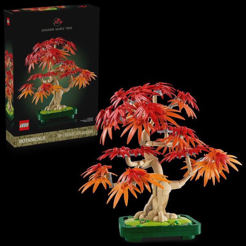 10348 Japanese Red Maple Bonsai Tree CS PK 3