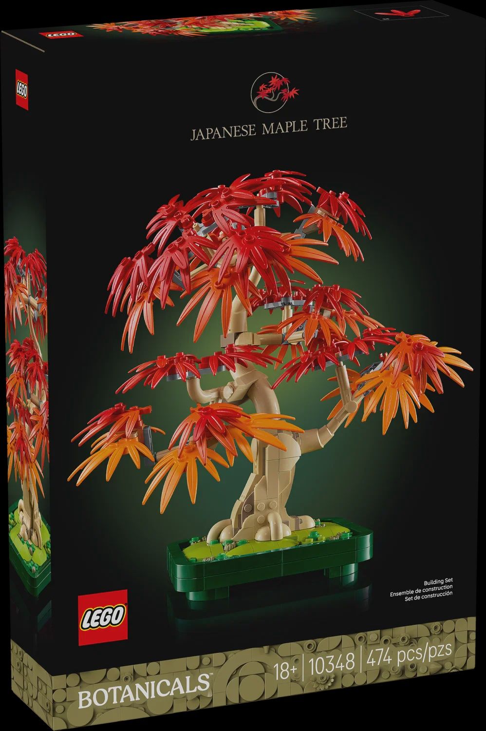 10348 Japanese Red Maple Bonsai Tree CS PK 3