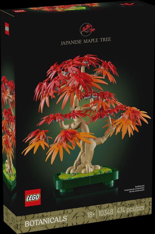 10348 Japanese Red Maple Bonsai Tree CS PK 3