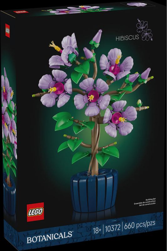 10372 Hibiscus (purple CS PK 3