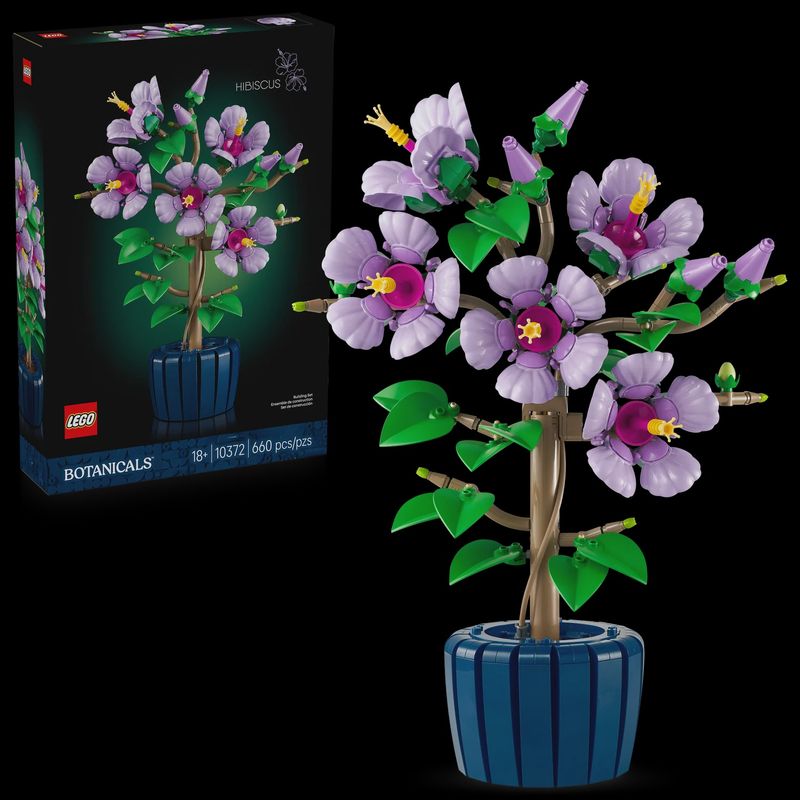 10372 Hibiscus (purple CS PK 3