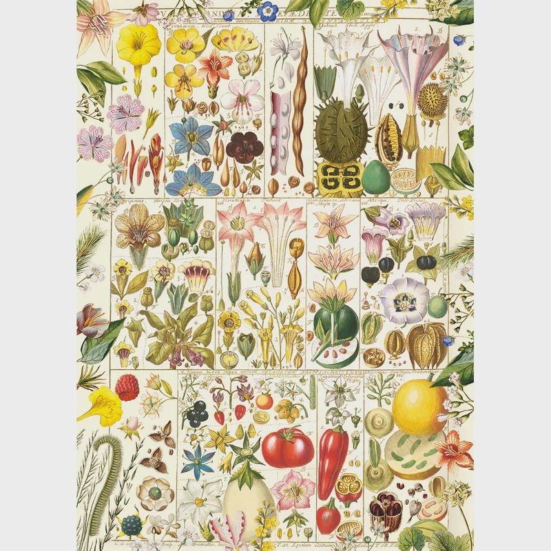 GIBG7160 Puzzle - 1000 pcs - RHS: Botanical Bliss (EN)