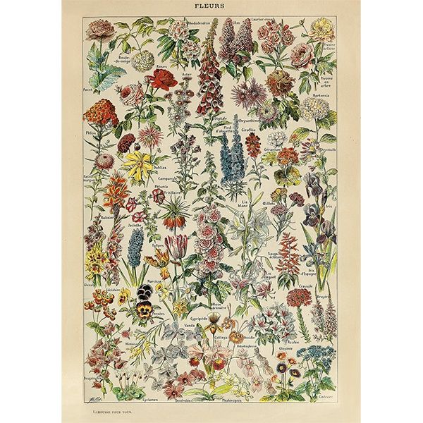 80-05705 1000 pcs, Millot - Flowers