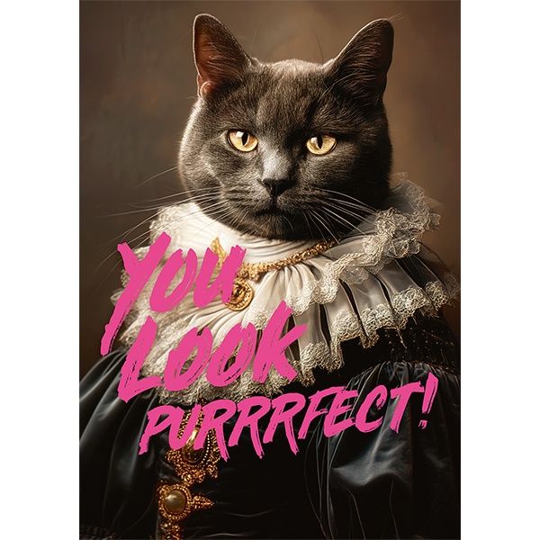 80-05726 1000 pc, You Look Purrrfect!