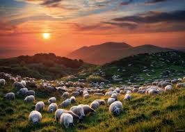 78-29977 1000 pcs, Sheep and Volcanoes, AVH