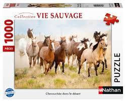 76-00919 1000 pcs, Chevauchée dans le désert